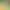 Floral Milk Tea Leak-Proof Paper Pads Disposable Coffee Drink Sealing Stickers Beverage Cup Lid Sealing Leak-Proof Paper Oil Paper Floral Milk Tea Leak-Proof Paper Pads Disposable Coffee Drink Sealing Stickers Beverage Cup Lid Sealing Leak-Proof Paper Oil Paper