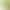 New cross-border outdoor sports running yoga wear, popular fitness tennis skirt shorts, Amazon women's pocket shorts