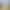 Spring and Summer New Style Pure Cotton Men's Underwear, Comfortable, Breathable, Elastic Boxer Shorts, Antibacterial, Non-Slip, Seamless Cotton Underwear