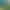 Canvas Long Split Suit for Adults, Men and Women, Military Green, Thickened, Labor Protection, Outdoor Hiking, Construction Site, Wear-Resistant Raincoat, Lin'An