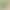 80 # Money Calamus Water and Land Tank Mini Micro Landscape Office Bonsai 80 # Money Calamus Water and Land Tank Mini Micro Landscape Office Bonsai