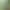Green Tea Biluochun New Tea 2026 Pre-Harvest Tea Jasmine Tea Leaves Jasmine Piaoxue for Personal Consumption, Various Tea Combinations Green Tea Biluochun New Tea 2026 Pre-Harvest Tea Jasmine Tea Leaves Jasmine Piaoxue for Personal Consumption, Various Tea Combinations