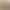 2026 Hot-Selling Cross-Border New Model Bb Monogram Ivy Small Messenger Carryall Small Horn-Shaped Baguette Bag Nano Water