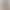 Osyo Naked Feel Flared Yoga Pants for Women, No T-Line, High Waist, Butt-Lifting, Slimming, Sporty, Casual, Versatile Flared Pants