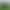 2025 Autumn New High-Top Football Shoes Artificial Grass Men's Large Size Training Sports Grass Football Shoes