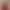 Red Socks for Women in Their Zodiac Year, Autumn and Winter Xinjiang Cotton Mid-Calf Socks, 2026 Year of the Horse Couple Wedding New Year Women's Long Socks