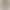 Pure Cotton 2026 Raglan T-Shirt Autumn and Spring Loose Slimming Color-Block Long-Sleeve Top New Plus-Size Women's Casual Versatile Wear