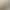 Nordic Floor Lamp ins Style Bedside Lamp for Bedroom Creative Lily Post-modern Internet Celebrity Living Room Vertical Coffee Table Lamp
