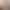 Sexy Underwear, Large Size, Thin Straps, Solid Color, Low Waist, Women's Thong, Tempting Sexy Underwear, Large Size, Thin Straps, Solid Color, Low Waist, Women's Thong, Tempting