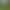 Only Doll Clothes】Zsiga's Dream 1/8 Movable Doll Clothes 20cm Gazi Sister Clothes Outdoor Hiking Outfit