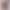 Cross-Border Quick-Dry Sports Shorts for Women, Anti-Exposure Running Fitness Drawstring Yoga Shorts, Camouflage Leopard Print Shorts for Women, Suitable for Outdoor Wear Cross-Border Quick-Dry Sports Shorts for Women, Anti-Exposure Running Fitness Drawstring Yoga Shorts, Camouflage Leopard Print Shorts for Women, Suitable for Outdoor Wear