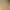 Khaki flared jeans for women, 2026 spring new style, high-waisted, slimming, for petite figures, not tight-fitting, wide-leg bell-bottom pants