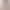 Casual and Versatile Korean Style Round Neck 100 Wool Knitwear for Women, Elegant Pullover Knitwear for Autumn and Winter 24