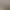 2026 New Long Gown with Intricate Craftsmanship, Cross-Border European and American Style, Gold Color, Sexy, Luxurious, Mature Style Women's Dress 2026 New Long Gown with Intricate Craftsmanship, Cross-Border European and American Style, Gold Color, Sexy, Luxurious, Mature Style Women's Dress