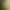 Factory wholesale 5 Dutch chrysanthemum simulation daisy cosmos home photography decoration chamomile simulation flower Factory wholesale 5 Dutch chrysanthemum simulation daisy cosmos home photography decoration chamomile simulation flower