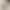 Autumn and Winter Extra-Thick Lamb Fleece-Lined Warm Solid Color High-Waisted Slim-Fit Ankle-Length Leggings Suitable for Outerwear