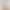 Cross-Border Camouflage Shorts for Women Shein New Summer Style European Size Casual High-Waisted Non-Elastic Women's Three-Quarter Pants Cross-Border Camouflage Shorts for Women Shein New Summer Style European Size Casual High-Waisted Non-Elastic Women's Three-Quarter Pants