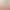 Dropshipping Yoga Non-Slip Five-Finger Pilates Socks Ballet Style Indoor Fitness Special Socks with Straps for Women