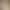 Women's Ultra-Long Camisole Dress, Suitable for Wearing under a Suit, 2023 New Spring/Summer Silk Satin Mulberry Silk Sexy Base Layer