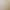 Plant and Flower Kitchen Cabinet Decoration Fabric Door Curtain Scandinavian Household Curtain Dustproof Cloth Waterproof Cupboard Curtain