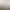 【Golden Oak Source Factory】Coconut Palm Mattress for Children and Students, Jute Latex Mattress, Tatami, Hard Candy Pro