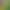 2627 World Cup Football Jersey Brazil Special Edition Adult Fan Version Jersey Factory Direct Sale