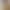 European and American cross-border Amazon sports and fitness letter print fashion hot pants, new slim-fit versatile casual hot pants