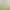 Cross-border explosions mini simulation solid farm wildlife dinosaur toy model suit barrel stall wholesale Cross-border explosions mini simulation solid farm wildlife dinosaur toy model suit barrel stall wholesale