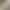 Live-Stream Hit Item: New Chinese-Style High-Waisted Satin Pants with a Simple and Versatile Design, Slimming Effect, Elastic Waist, and Straight Cut