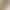 2026 Summer New Style Hot Girl Design High-Waisted Denim Shorts Versatile Slimming Hot Pants Women's Short Khaki Color