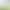 Soft Support Underwear Women's Traceless Summer Thin Push-up Anti-sagging Women's Bra Non-rimless Fixed Cup Bra Soft Support Underwear Women's Traceless Summer Thin Push-up Anti-sagging Women's Bra Non-rimless Fixed Cup Bra