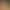 Five-Fingered Peach, Coix Seed, and Poria Tea; Coix Seed Tea; Poria Tea; Triple-Steamed and Triple-Dried Gorgon Fruit, Red Bean, and Coix Seed Tea; Wholesale and Dropshipping