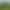 Artificial Ivy Privacy Fence, Artificial Hedge Fence, and Simulated Ivy Vine Leaf Decoration