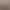 2026 Korean-Style Spring and Summer Trendy New Model, Really Flattering on the Complexion, Truly Stunning, One-Strap Thin Heel Square-Toe Nude-Colored Sandals 2026 Korean-Style Spring and Summer Trendy New Model, Really Flattering on the Complexion, Truly Stunning, One-Strap Thin Heel Square-Toe Nude-Colored Sandals