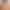 Cross-Border Popular Lingerie: Unlined Flat-Top Bra with Underwire Support, Plus Size, Smooth Low Round Neck