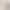 Pure Cotton Low-Neck Long-Sleeved Bottoming Shirt for Women, Spring and Autum White Base Layer, Bottoming Shirt, Autum Shirt Inner Top