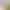 2026 New Korean Style Oval Half-Frame Gradient Purple Sunglasses Y2K Street Style Millennium Sunglasses with Uv Protection