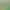 Golden Gynostemma desktop green plant, gardenia, office plants and flowers, money tree, potted succulents, hydroponic, easy to care for