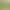 Simulated Plant Wall, Green Plant Wall, Outdoor and Indoor Lawn Background Decoration Accessories