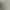 Wedding Milk Silk Stretch Fabric Off-White Light Apricot Cream Background Cloth Champagne Color Stage Base Decorative Cloth