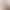Imitation Mink Fur Sweater Jacket for Women in Autumn and Winter Hot Style Soft and Waxy White Long Lazy Furry Thick Fur Cardigan