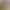 Flower natural dried flower beauty grass home decoration ornaments eternal flower gem grass multicolor spot wholesale Flower natural dried flower beauty grass home decoration ornaments eternal flower gem grass multicolor spot wholesale