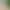 Sexy Green One-Shoulder Dress for Seaside Vacation, Women's Summer Design with Lace Splicing, Stylish Hot Girl Bodycon Long Dress Sexy Green One-Shoulder Dress for Seaside Vacation, Women's Summer Design with Lace Splicing, Stylish Hot Girl Bodycon Long Dress