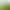 Green radish climbing wall holder manufacturer small medium large in stock wholesale green plant hook paste wall fixed punch-free Green radish climbing wall holder manufacturer small medium large in stock wholesale green plant hook paste wall fixed punch-free