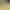 Natural Tianshan Green Jade Peace Pendant, Gourd-Shaped Ornament, Unisex Style, Wholesale Live Streaming Supply, Worry-Free Plate Natural Tianshan Green Jade Peace Pendant, Gourd-Shaped Ornament, Unisex Style, Wholesale Live Streaming Supply, Worry-Free Plate