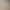 2022 summer lace design cream sneakers for men and women Shell head chic board shoes for lovers Harajuku 2022 summer lace design cream sneakers for men and women Shell head chic board shoes for lovers Harajuku