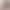 Summer New Camouflage Low-Waist Denim Shorts for Women, Petite Hot Girls, Slimming, Sexy and Versatile Super Shorts Summer New Camouflage Low-Waist Denim Shorts for Women, Petite Hot Girls, Slimming, Sexy and Versatile Super Shorts