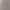 2026 European and American Style Wish New Temu Women's Clothing Quick-Drying Shorts Yoga Pants Casual Sports Waist-Cinching Elastic Shorts