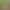 * Bamboo Pot Brush Natural Long Handle Bamboo Brush Pot Brush Pot Washing Kitchen Cleaning Supplies Pot Dishwashing Brush Pot God * Bamboo Pot Brush Natural Long Handle Bamboo Brush Pot Brush Pot Washing Kitchen Cleaning Supplies Pot Dishwashing Brush Pot God