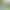 Money Tree, Gardenia, Asparagus Fern, Pothos, Aloe Vera, Office Air Purifying Green Plants, Desktop Flowers, Hydroponic Plants